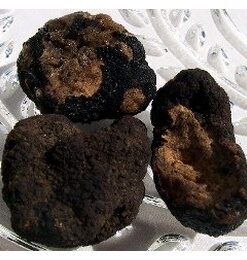 Frozen Oregon Black Truffles